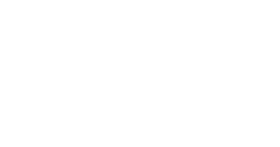 Simbolo representando a seleção oficial do Guarnicê de 2024 Festival de Cinema Edição 47 - Mostra paralela